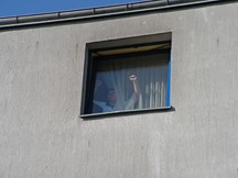 Zdjęcie: PICT0272.JPG