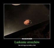 Zdjęcie: pga2012orzech.jpg