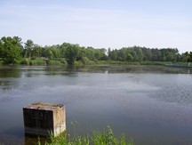 Zdjęcie: 100_1376.JPG