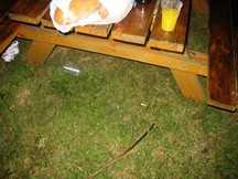 Zdjęcie: IMG_4902.JPG