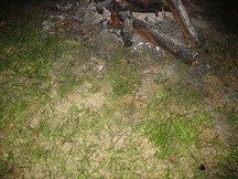Zdjęcie: IMG_4903.JPG