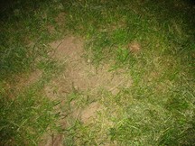 Zdjęcie: IMG_4906.JPG