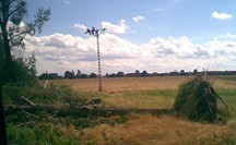 Zdjęcie: zdjcie017a.jpg