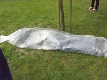 Zdjęcie: 20100515161.jpg