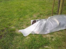 Zdjęcie: 20100515162.jpg