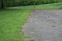 Zdjęcie: IMG_9789.JPG