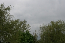 Zdjęcie: IMG_9925.JPG