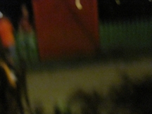 Zdjęcie: IMG_0296.JPG