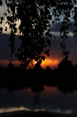 Zdjęcie: IMG_6222.jpg