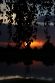 Zdjęcie: IMG_6223.jpg