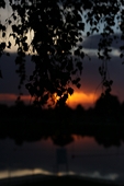Zdjęcie: IMG_6224.jpg