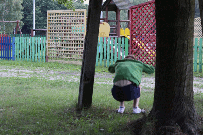 Zdjęcie: lan2.gif