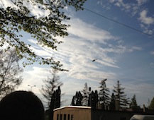 Zdjęcie: IMG_0736.JPG