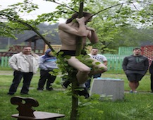 Zdjęcie: IMG_9517.JPG