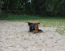 Zdjęcie: IMG_9579.JPG