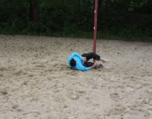 Zdjęcie: IMG_9629.JPG