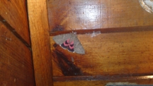 Zdjęcie: 29082010223.JPG