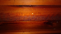 Zdjęcie: 29082010238.JPG