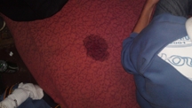 Zdjęcie: 29082010240.JPG