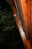 Zdjęcie: IMG_0849.JPG