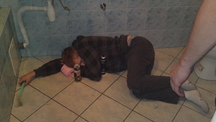 Zdjęcie: watkiszon.jpg