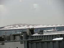 Zdjęcie: IMG_0040.jpg