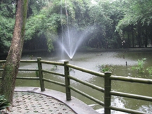 Zdjęcie: IMG_0049.jpg