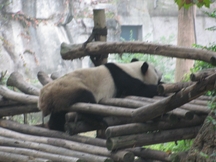 Zdjęcie: IMG_0050.jpg