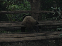 Zdjęcie: IMG_0051.jpg