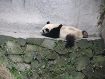 Zdjęcie: IMG_0059.jpg