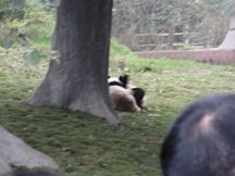 Zdjęcie: IMG_0060.jpg