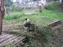 Zdjęcie: IMG_0062.jpg